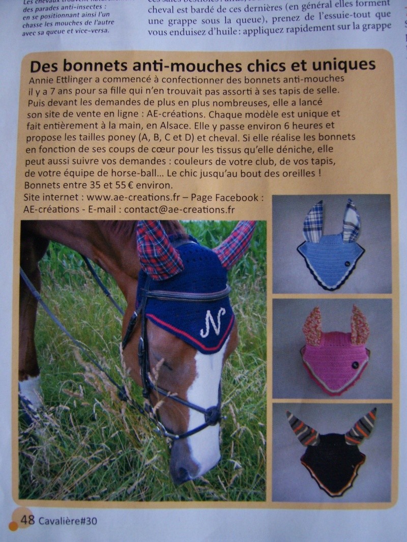 Vente en ligne de bonnets anti-mouches chevaux et poneys 102_4316