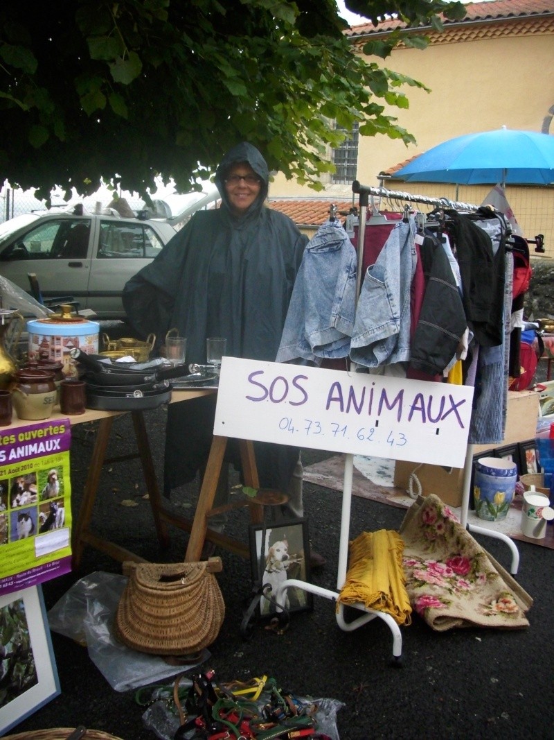 BROCANTE 15 aout 2011 Dsci0218