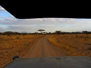Kenya  Safari al Samburu National Reserve Img_0512