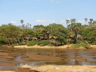 Kenya  Safari al Samburu National Reserve Img_0714