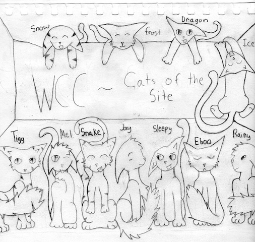 Finished sketch Wcc210