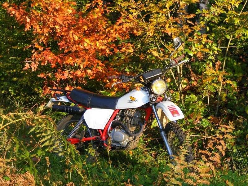 concours photo oct 2011", Votre Honda en automne." Xls_0010