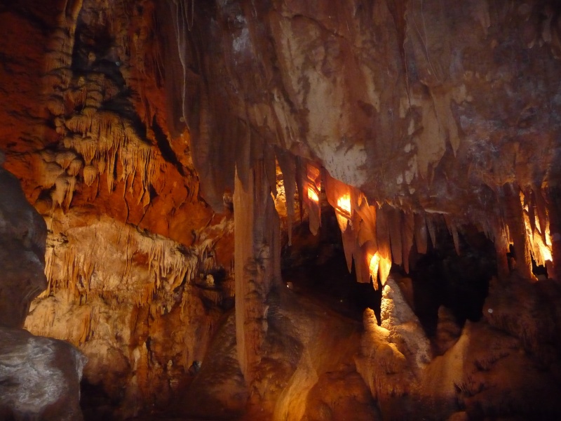 Gorges de l'Ardeche et grotte de la Madeleine P1070617
