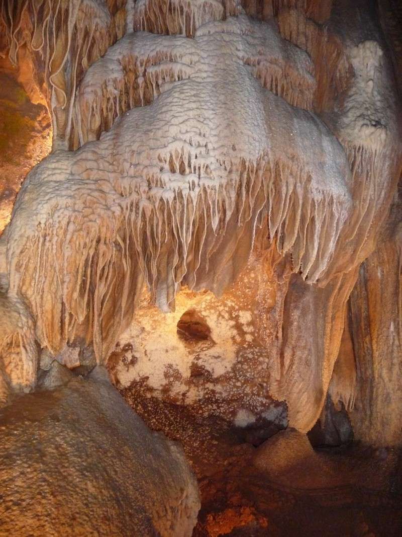 Gorges de l'Ardeche et grotte de la Madeleine P1070620