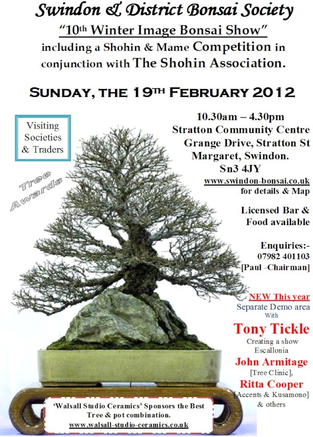 Swindon and District Bonsai Society  Winter Image Show Poster13