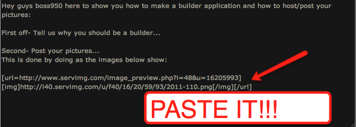 Making a builder application and hosting your pictures... 310