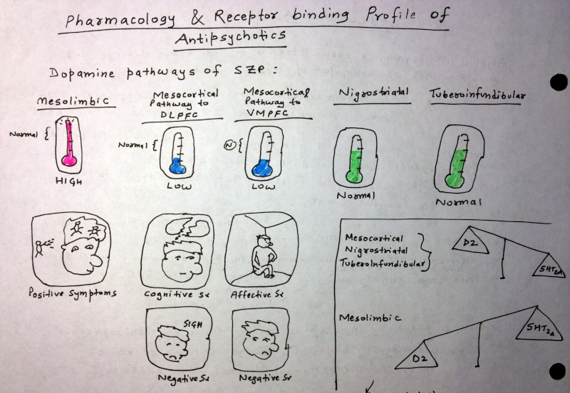 Schizophrenia- In Depth Explanation & Discussion Dopami10