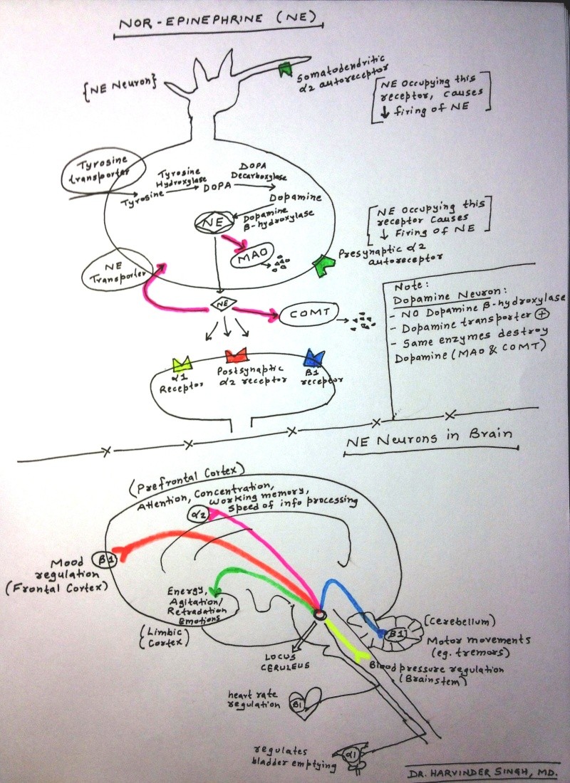 Schizophrenia Quiz- Check Your Basics Img_0111