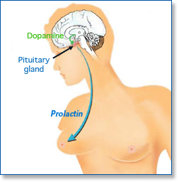 Which Antipsychotic is Most Likely to cause Decreased Prolactin? Prolac10