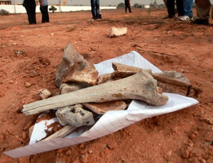 المجلس الإنتقالى الليبى: جثث مقبرة "أبو سليم" ليست بشرية 1_201123