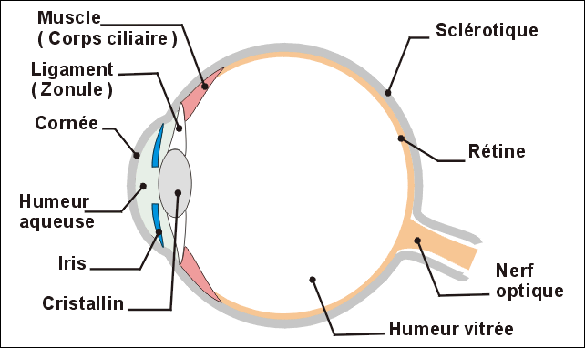 La vue Globe_10