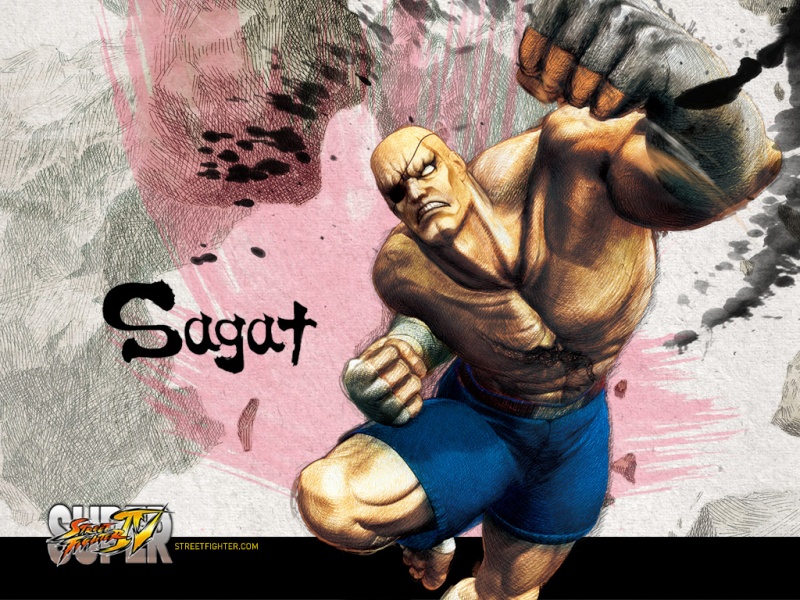 The Catalyst history with Street Fighter ! Sagat10