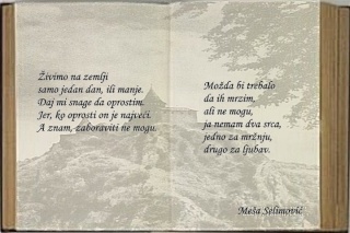Meša Selimović - Page 3 22565113
