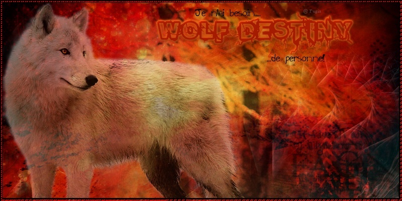 ♣ Wolf Destiny. Bannir10