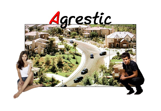 Ville d'Agrestic