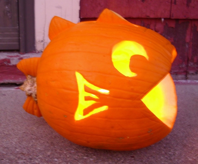 Pumpkin pictures Fish10