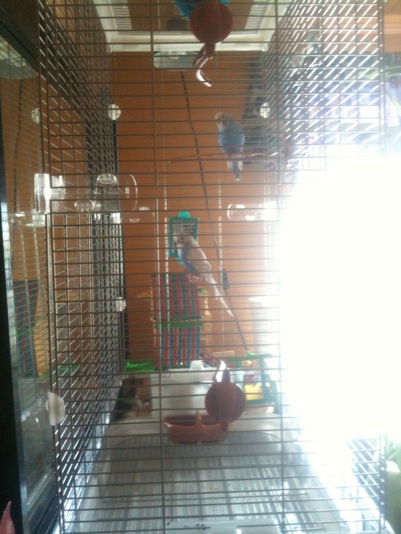 petite nany Img_8117