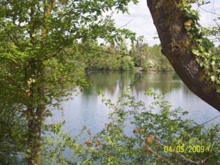 Un puma dans le Gévaudan Etang_10