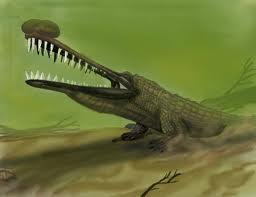 Shieldcroc un ancêtre des crocodiles Grypos11