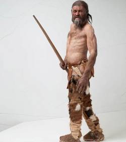 [Anthropologie] Ötzi ou la momie congelée La-mod10