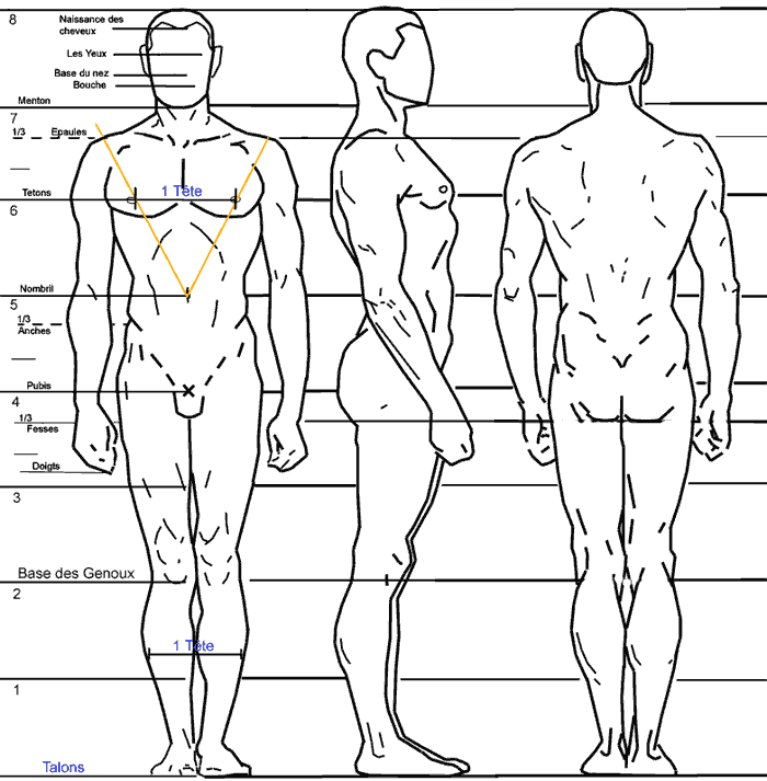 [corp humain]proportions du corps humain (Shotaro) Can_ho10