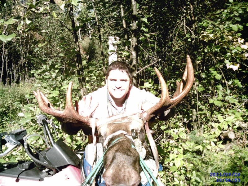 Ma chasse 2011 ..... Mr. Moose... Mâle mature de 4 1/2 ans Sunp0013