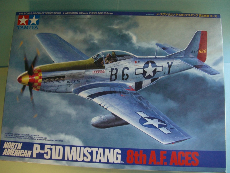 [Tamiya] P51D Mustang 1/48  Cimg9534