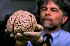 أداء دماغ الانسان يبدأ في التراجع اعتبارا من سن الـ45 Northe10