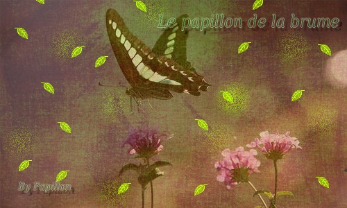 Galerie Papillon Papill10