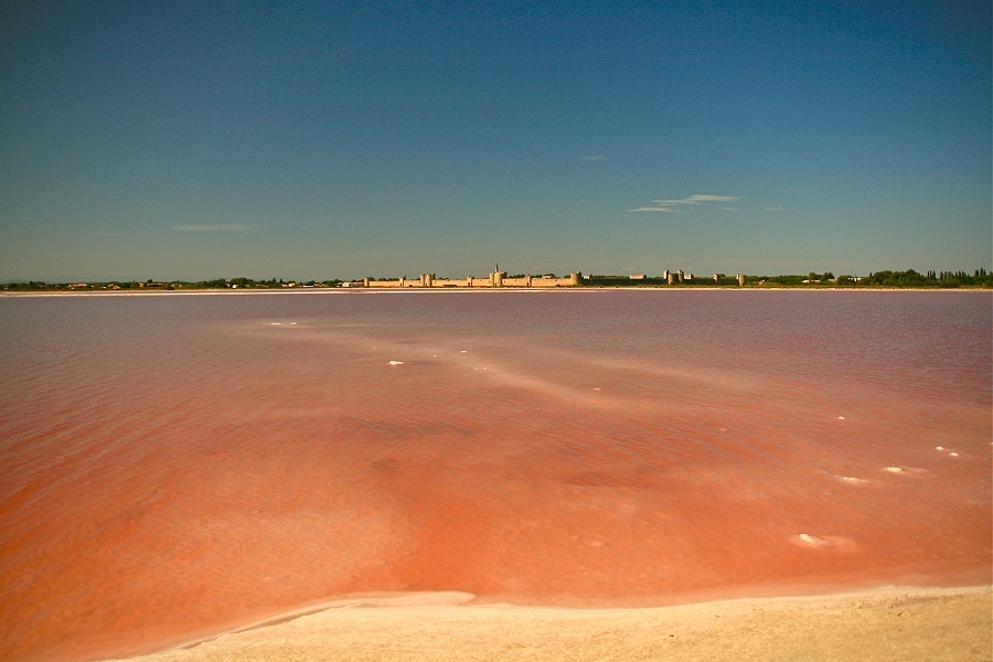 Les salins d'Aigues-Mortes Img_5311