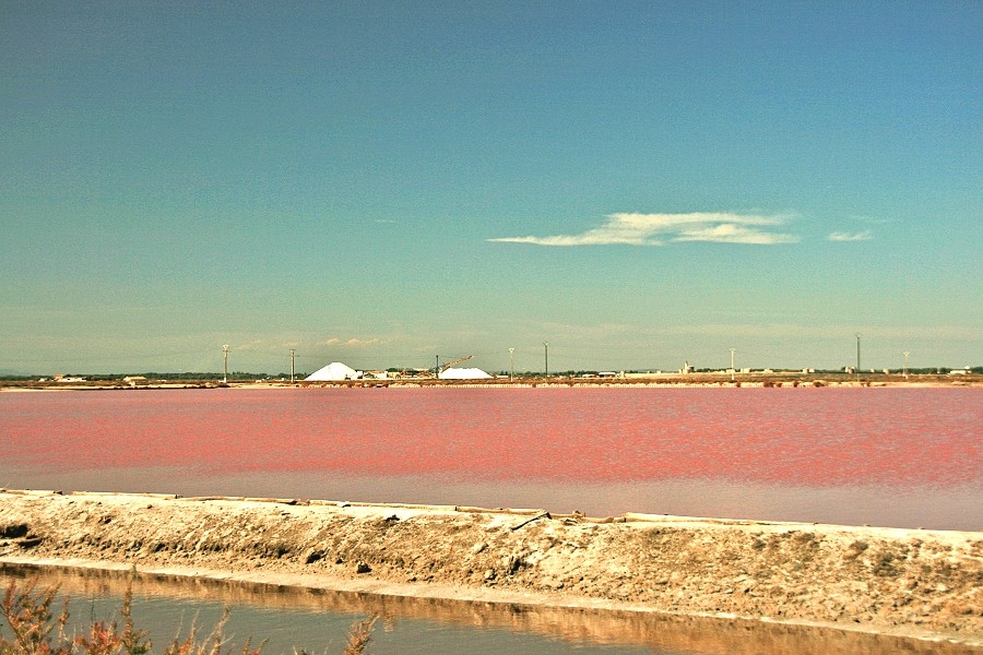 Les salins d'Aigues-Mortes Img_5414