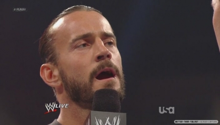 WWE - CM Punk vs Chris Jericho Normal13