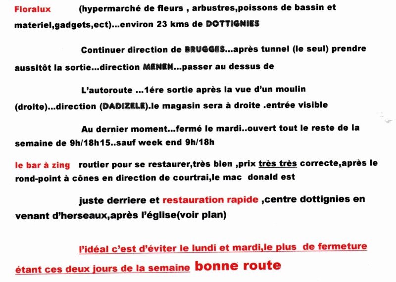 (plan) pour le poisson d'or Descri11