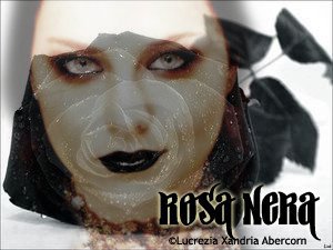 Rosa Nera © 22472410