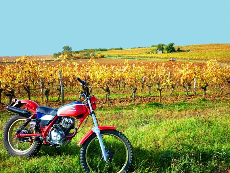 concours photo oct 2011", Votre Honda en automne." P1020414