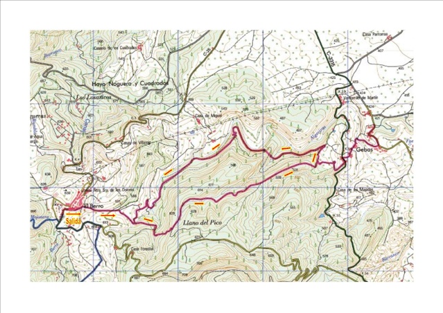 (18/11/2012) Ruta de Senderismo por El Berro Elberr10