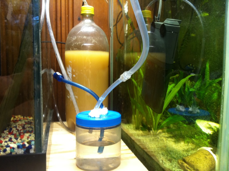 DIY co2 setup Img_0619