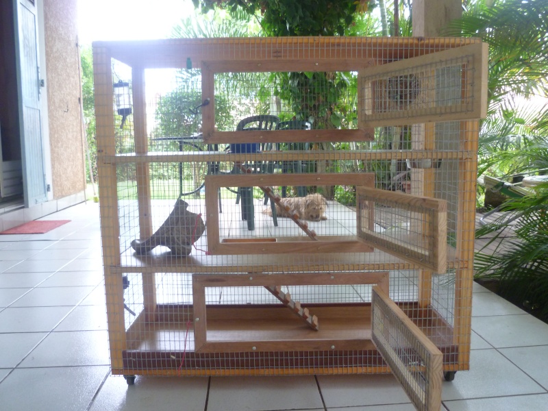 ma cage fait maison  P1020115
