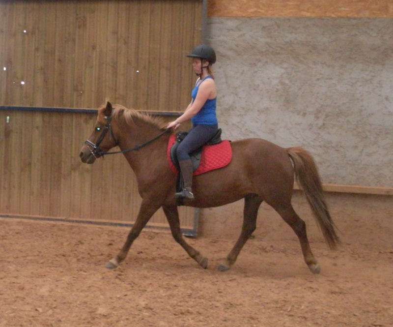 Votre style (ou dégaine) à cheval ? P7070013