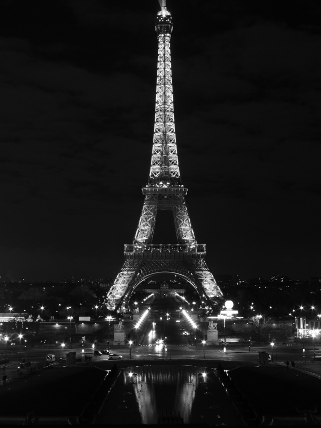 Sortie Tour Eiffel 9/01/12 : les Photoooooos!  P1010610