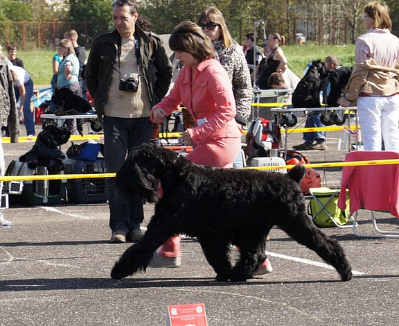 CACIB 10-11 сентября 2011 Dsc00310