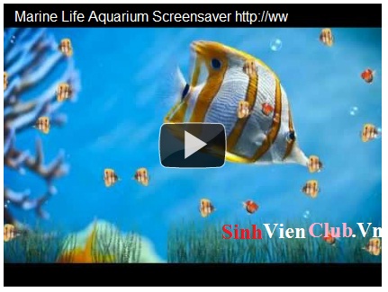 Marine Life Aquarium Screensaver 1.0 - Tạo bể cá trên desktop Ff10
