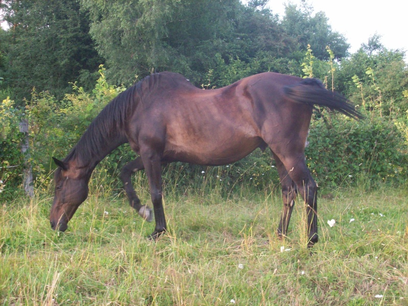 Babati adopté titly63 en 1998 déjà!!! Doudou10