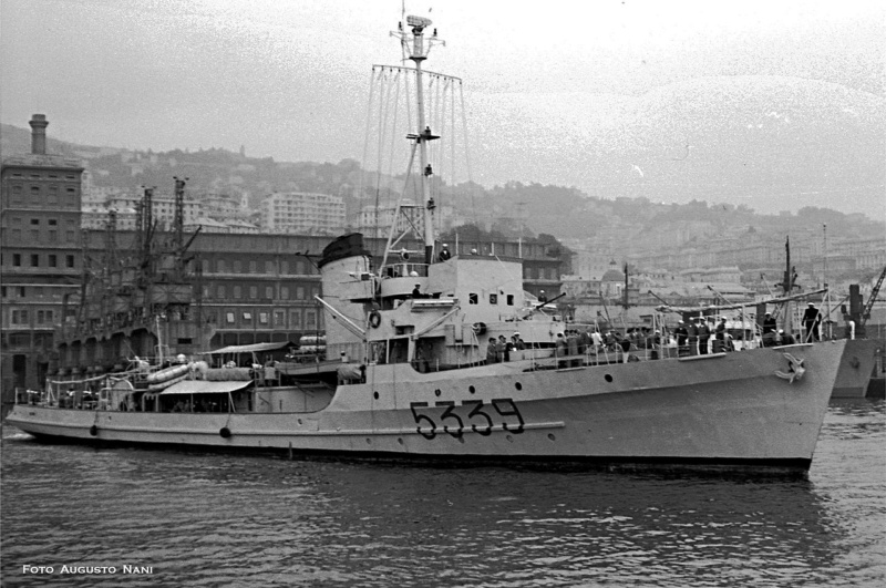 SEBASTIANO CABOTO canonnière et les escorteurs italiens Daino_10