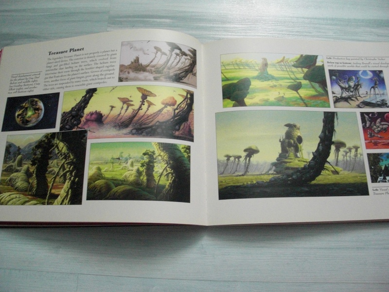 Les livres Disney - Page 28 Cimg2411