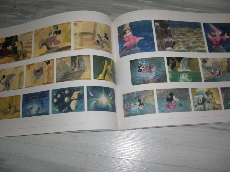 Les livres Disney - Page 32 Cimg2521