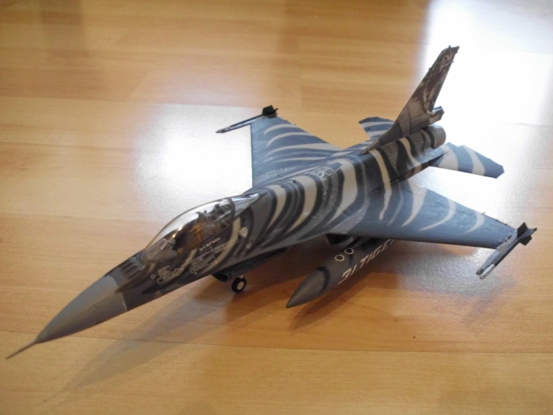 Belgische Mietzekatze Dsci0023