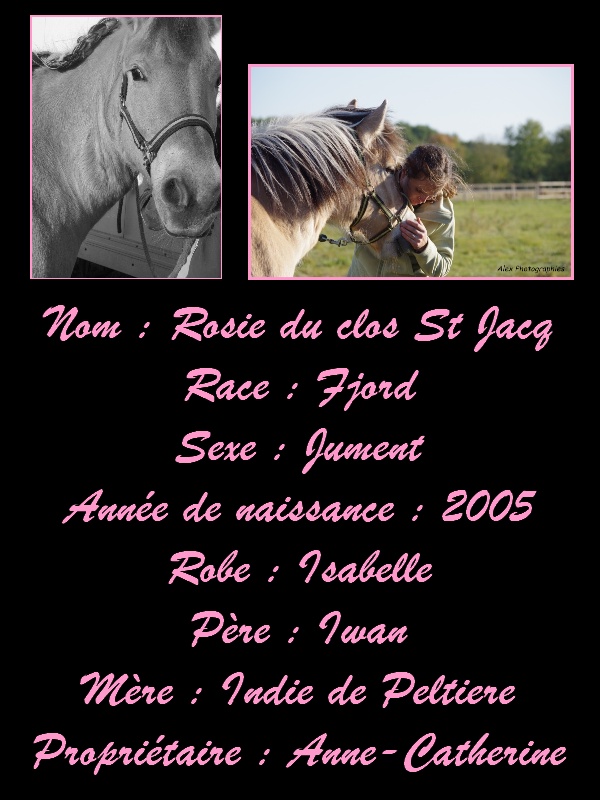 Fiche cheval de Rosie du clos St Jacq Sans_t20