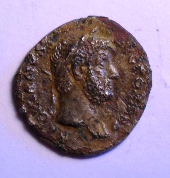 romaine a id Dscn1426