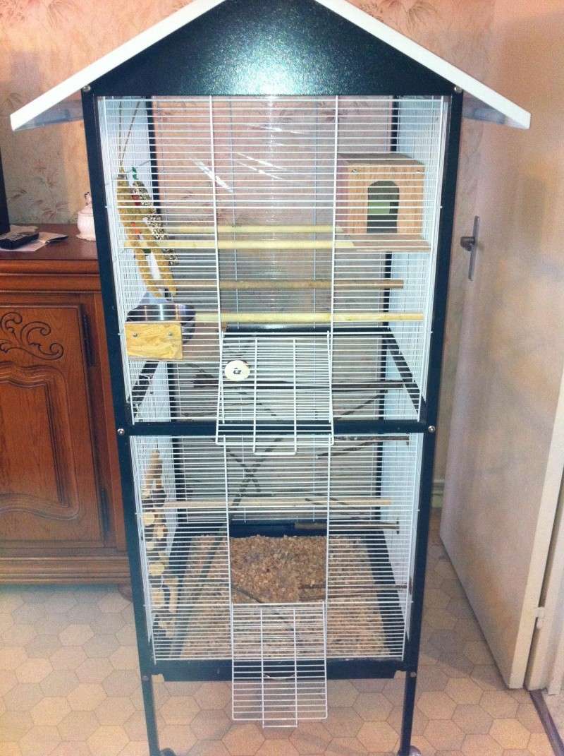 La cage de kiwi qu'en pensez-vous ? Cage_f10